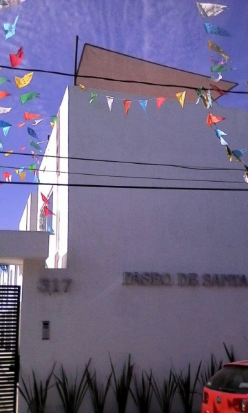 c393 - 01.jpg